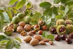 Nuts