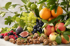 Fruit & Nuts
