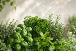Herbs