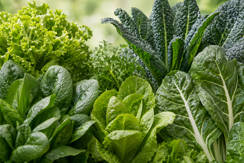 Leafy Greens