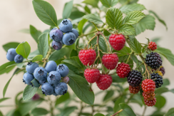 Berries